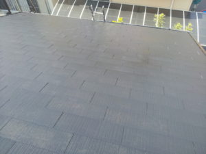 pr_k1304_005